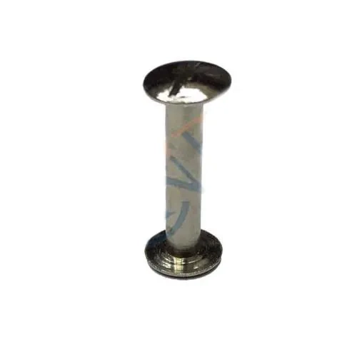 Cilt Menü, Katalog, Kartela Vidası, 20 Mm - Nikel, 100 Adet