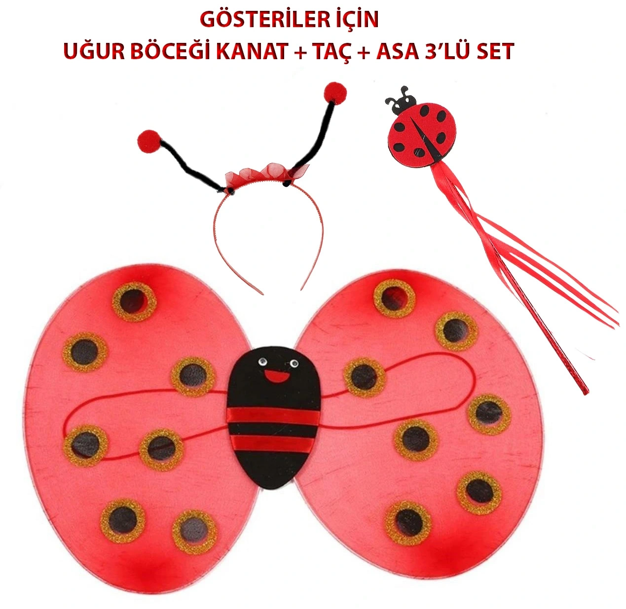 Çocuk Gösteri İçin Uğur Böceği Kanat + Taç + Asa 339lü Kostüm Seti