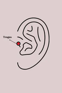 316L Çelik Gold Renk Zirkon Taşlı Çiçek Model Tragus Piercing 5886