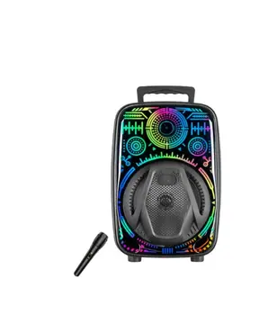 Mikrofonlu Bluetooth Hoparlör 8 İnç RGB Işıklı Taşınabilir Ses Sistemi