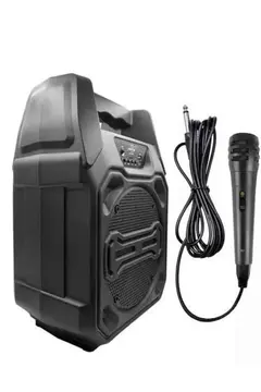 10W Güçlü Ses Performanslı Bluetooth Karaoke Hoparlörü
