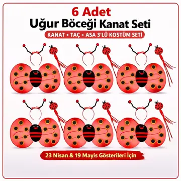 639lı Uğur Böceği Kostüm Seti – Kanat Taç Asa