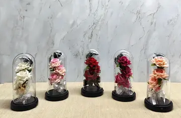 Işıklı Müzikli Cam Fanus İçinde Romantik Gül