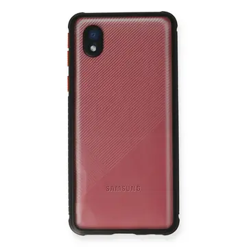 Newface Samsung Galaxy A01 Core Kılıf Miami Şeffaf Silikon - Siyah