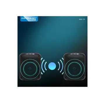 F39 25w Sürücülü Rgb Işıklı 2 Adet Mikrofonlu Bluetooth 5.3 Kablosuz Hoparlör – Siyah