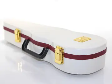 Gitar Müzik Kutusu