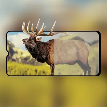 OPPO A9/A5 (2020) 3D Full Glue Tempered Cam Ekran Koruyucu