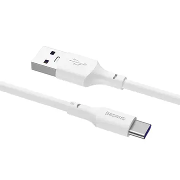 Baseus Simple Wisdom 100W USB to Type-C Hızlı Data Şarj Kablosu