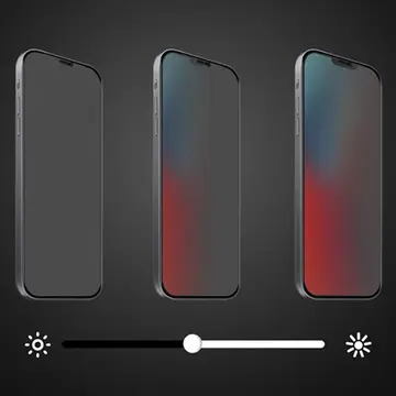 ALLY İPhone 1212 PRO 6.1 3D Full Privacy Gizlilik Cam Ekran Koruyucu Anti-Spy