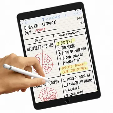 ALLY İPad Pro/Air 310.5 İnch Paper Like Film Darbe Emici Pet Ekran Koruyucu