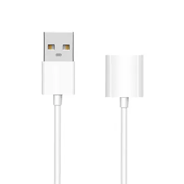 Ally Apple Pencil/kalem İçin Usb Şarj Kablosu 1 metre