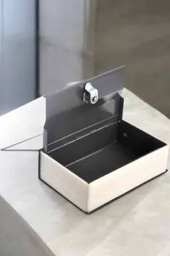 Gizli Kasa İngilizce Sözlüğü Kitap Görünümlü Anahtarlı Gizli Mini Çelik Kasa Kilitli