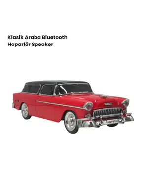 WS-1955 Bluetooth Hoparlör