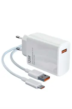 Type C Yüksek Hızlı Şarj Aleti Beyaz 120W Ultra Uzun Ömürlü