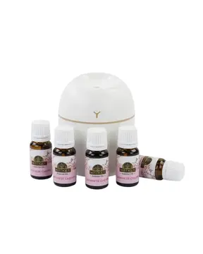 Mini Nemlendirici 5 Esans Hediyeli LED Işıklı Taşınabilir Aromaterapi Buhar Makinesi